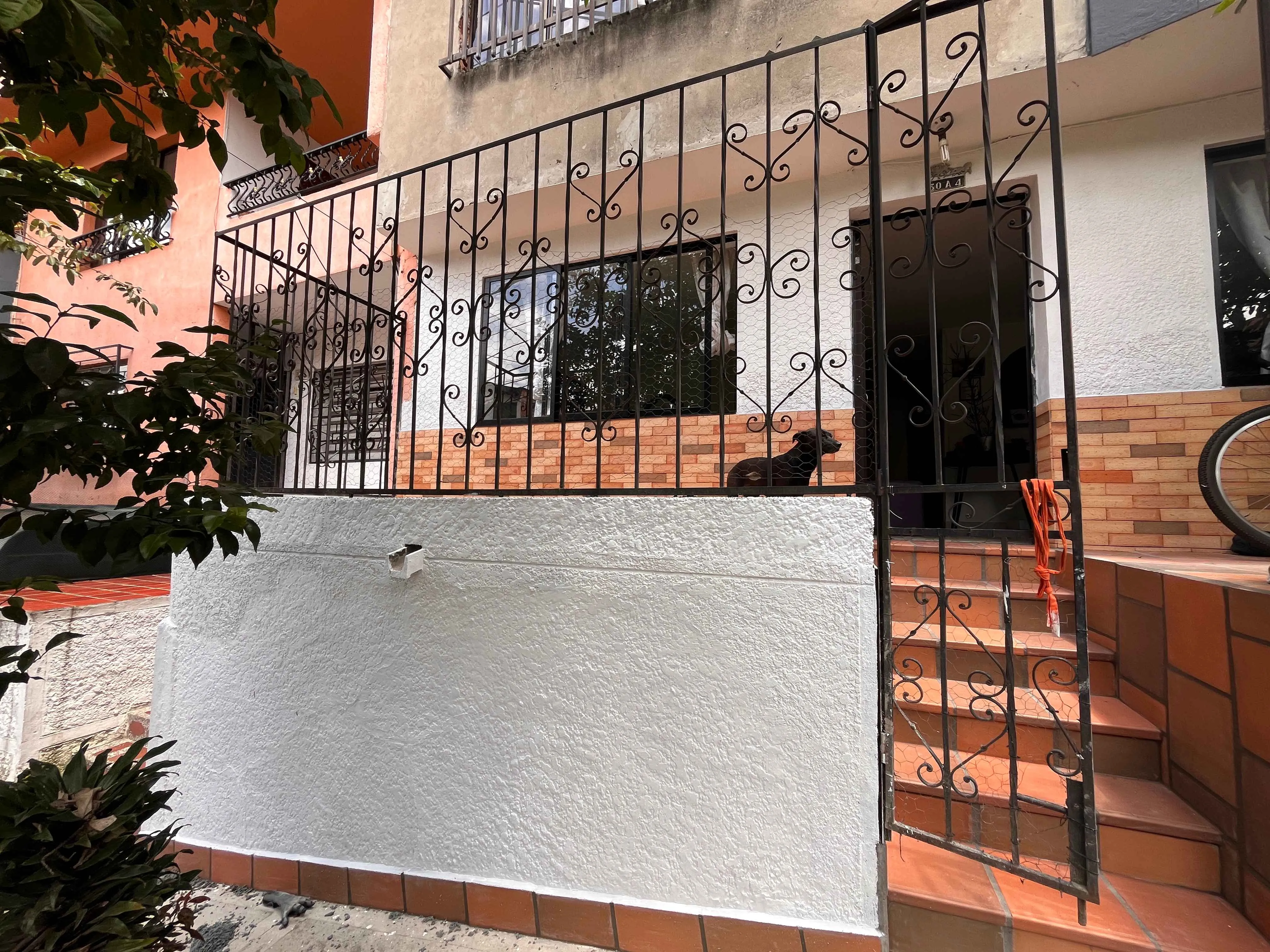 Reforma Fachada · Las Flores